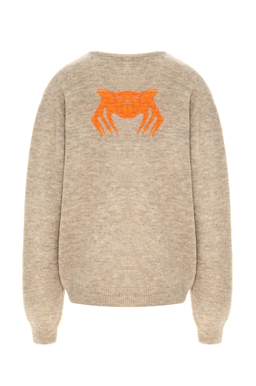 Мапельсиновые сады приносят плоды и зимой и летом. Из листьев этого дерева в Италии создают нитки из которых и связан свитер. Свитер с апельсином, мапельсин Vereja.